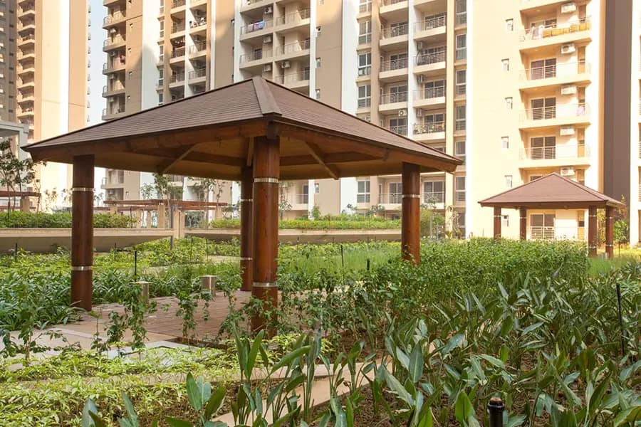 cleo-county-gallery-7